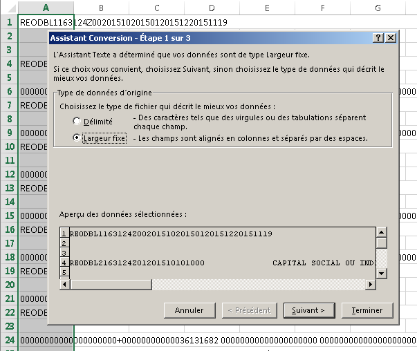 Assistant de conversion d'Excel : choix du type de données d'origine