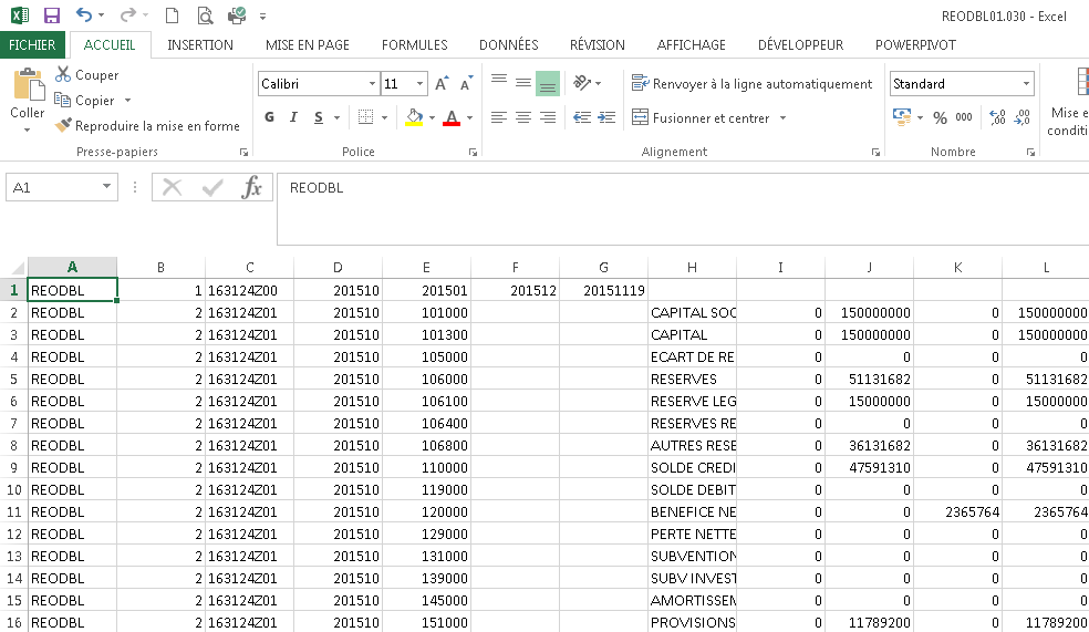 Fichier CSV importé dans Excel