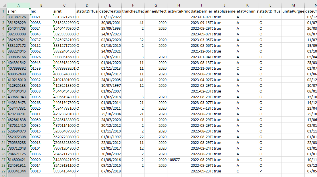 SIRENE etablissement csv converti