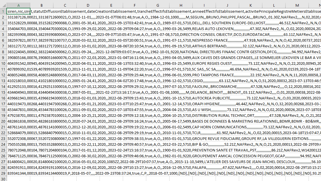 SIRENE etablissement csv