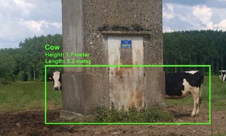VACHE IA